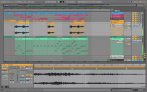 ableton live suite vs standard