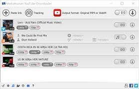 mediahuman youtube downloader portable